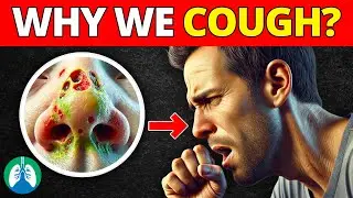 The Surprising Reason Why We COUGH So Much