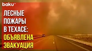 В Техасе бушует не менее пяти лесных пожаров, приостановлена работа завода ядерного оружия