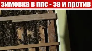 Зимовка пчел в шестирамочниках из ппс с открытым дном