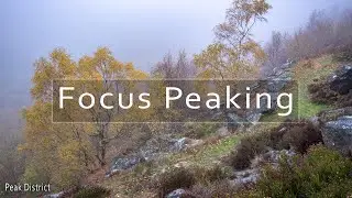 Focus Peaking, How to Get a Sharp Photo in the Fog, Landscape Photography Tips Hints for Beginners