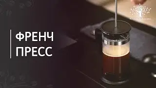 How to make coffee in a french press