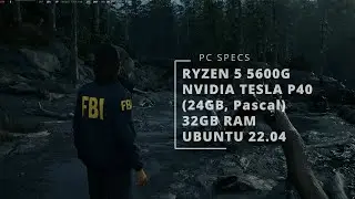 Alan Wake 2 vs Pascal (GTX 1080/1070/1060) GPU in Linux | How bad can it be?