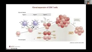 [Wei Su] CD8 T cells: friend or foe in neurodegeneration