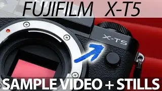 FUJIFILM X-T5: Sample Footage & Stills