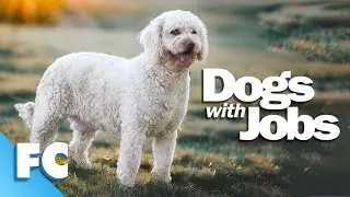 Dogs With Jobs | S3E10: Elite: Agility Champ | Full Animal Documentary TV Show | FC