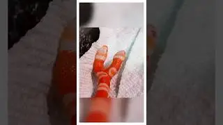Почему две головы?