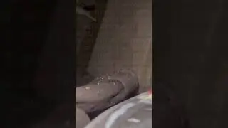 Утонула на крещение. Женщина утонула в проруби. ПОЛНОЕ ВИДЕОшок