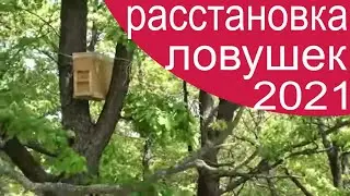 Пчеловодство. Расстановка ловушек для пчёл. Где ставить ловушки для пчел. Ловушка для пчел