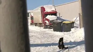 Саранский электроламповый завод начал процедуру банкротства