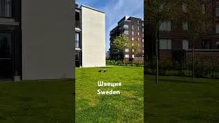 Робот-газонокосилка около новостройки A robotic lawn mower. 