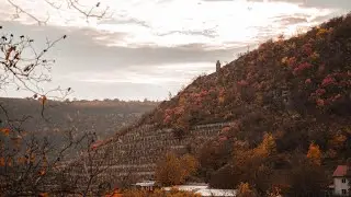 Осень на севере Приднестровья