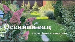 Осенний сад/Розы и гортензии в октябре/Прогулка с названиями сортов🤎🍁