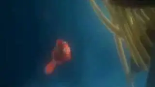 Finding Nemo - No Eating Here Tonight