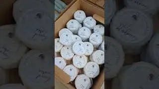 Berlin Summer Spectacular Event ~ Small Town Event Preparation ~ Booth Products