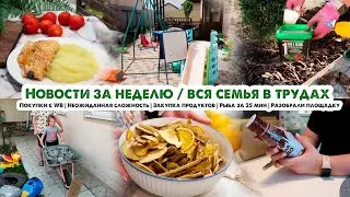 ВЛОГ❤️Неожиданная сложность😰Разобрали детскую площадку⛏Покупки с WB🛒Закупка продуктов🥚Рыба в духовке