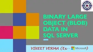 BLOB Data Storage | Microsoft SQL Server | Database Design | Data Science | Techie Vineet