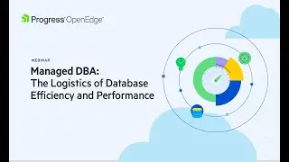 Managed DBA for OpenEdge: The Logistics of Database Efficiency and Performance