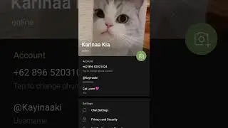 How to Remove Telegram Profile Picture
