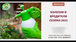 Какие болезни и вредители будут активны летом 2023 года. Фрагмент.   Игорь Ефимов