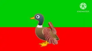Таракан гитара утка колбаса кот гитара шарик крокодил пердушка взял у мемного бабушки и шахматы