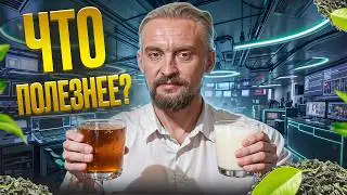 КАКОЙ НАПИТОК ПОЛЕЗНЕЕ: ЧАЙНЫЙ ГРИБ ИЛИ КЕФИР? КАК ВЛИЯЮТ НА ЗДОРОВЬЕ?