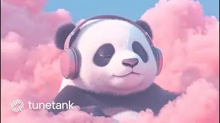 Relaxing Dreamy Trap Beat // Royalty Free No Copyright Music