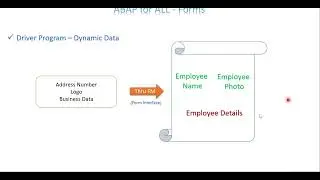 Video 2: ABAP for ALL - SmartForms - Driver Program and Dynamic Data