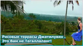 Рисовые террасы Джатилувих - это Вам не Тегаллаланг! [№133]