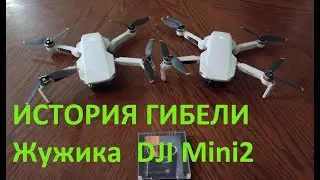АВАРИЯ ДРОНА DJI Mini2 / ВОДА Спасти не удалось