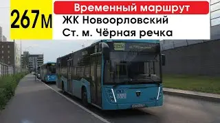 Автобус 267м "ЖК "Новоорловский" - ст. м. "Чёрная речка" (временный маршрут) (маршрут закрыт)