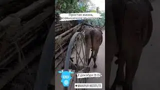 29 января 2024 г.