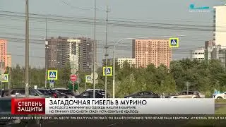 ЗАГАДОЧНАЯ ГИБЕЛЬ ЖИТЕЛЯ МУРИНО