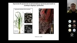 Дмитрий Дедух. Элиминация геномных последовательностей. Часть 2