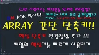 단축키 변경방법과 ARRAY 기능 커스텀 방법 알아보기!!