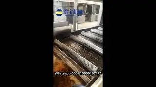 industrial Fried onion fryer continuous frying machine