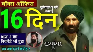 Gadar 2 box office collection day 16, gadar 2 worldwide collection, sunny deol 