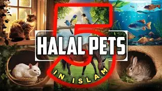 5 Halal Pets in Islam