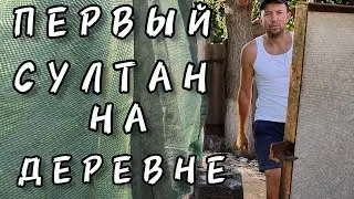 СТРОЮ ЗАБОР СВОИМИ РУКАМИ. УХОЖУ В ТЕНЬ.