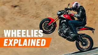 Why Motorcycles Wheelie | The Shop Manual