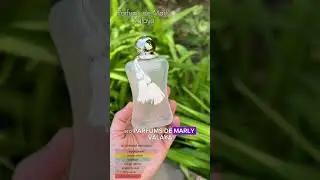 💎 Оригинальные духи в Молдове — по лучшей цене!