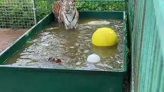 Всем привет!