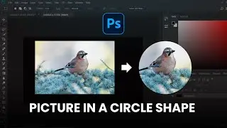 How to put a picture in a circle shape using Photoshop || Circle Crop