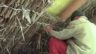 Утепляю крышу камышовыми матами