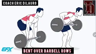 Build a bigger back, the most important exercises for developing a great back. Coach Eric DiLauro