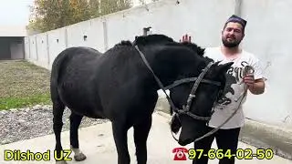 БУ ВИДЕОНИ ОТ ИШКИБОЗЛАРИ УТКАЗИБ ЮБОРМАСИН/ БИЗДА ЕНГ ЗУРИ👍