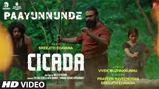 Paayunnunde Video Song | CICADA Movie | Jaise Jose Pallipadan,Rajith CR | Praveen R,Sreejith Edavana