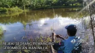 Buset_ ikanya pada kelaparan umpan jatuh langsung di Sambar !!!
