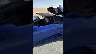 Литвин взял в аренду ламбу