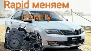 Шкода рапид меняем помпу