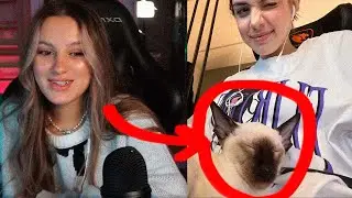 КАЮША ПРО НОВОГО КОТА АКУЛИЧ И КОРЕША